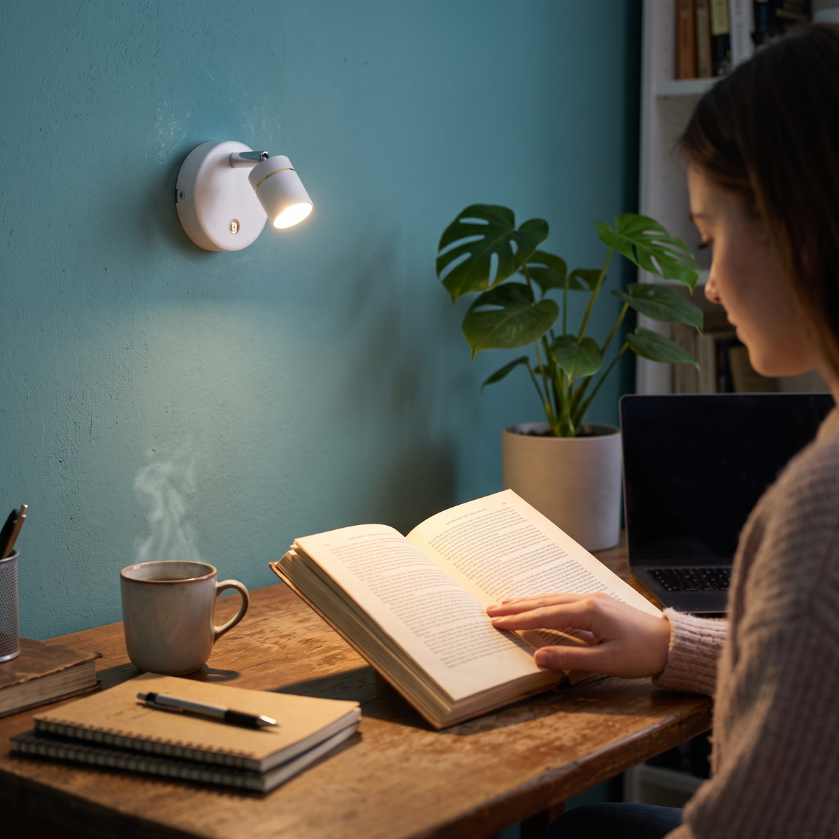 Wall Sconce Battery Operated Modern Adjustable LED Spotlight