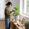 Self-Watering Flower Pot